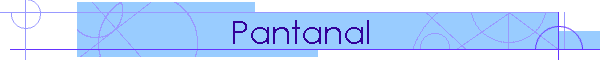 Pantanal
